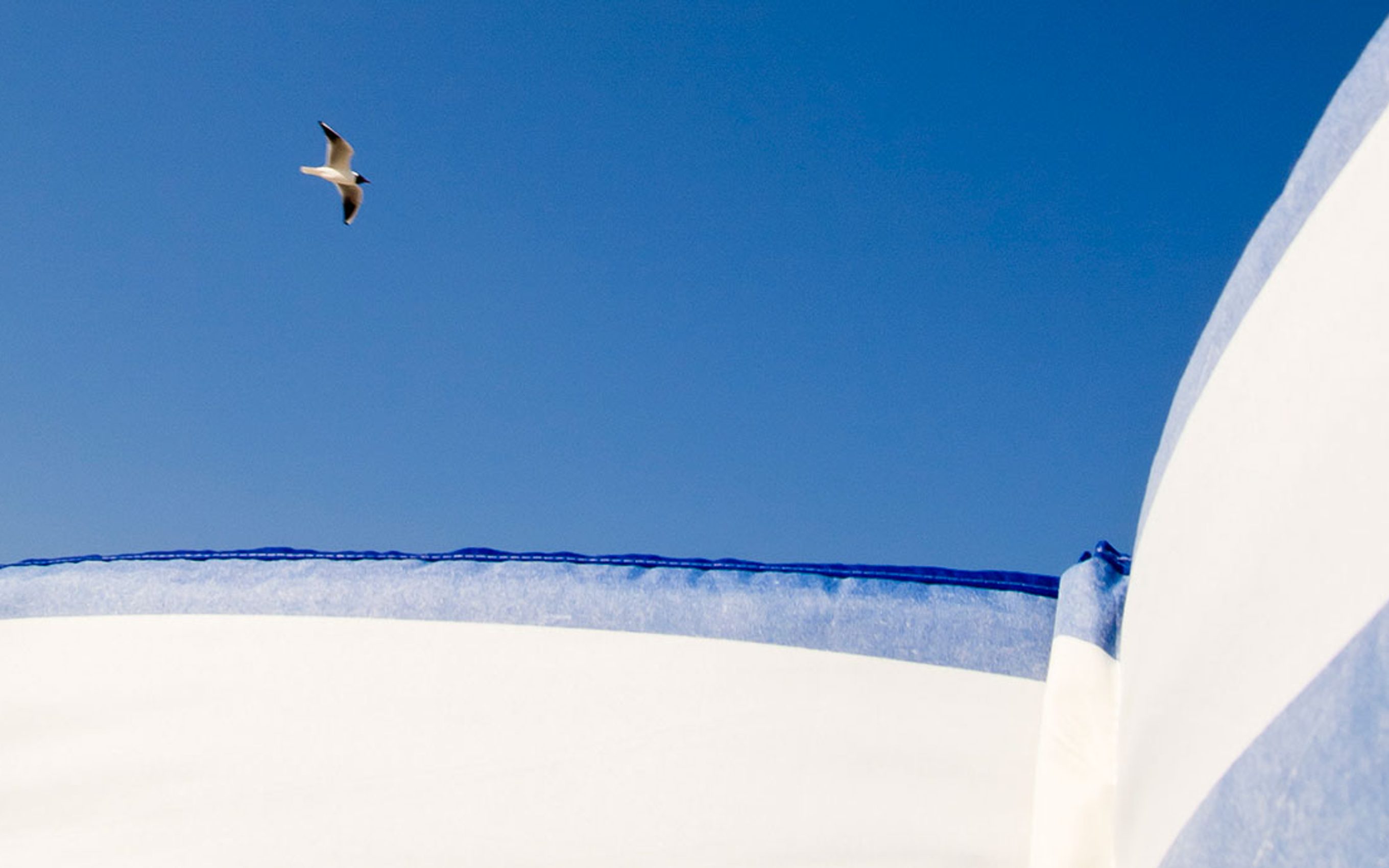 O morzu, parawanowcach, pogardzie i kompleksach