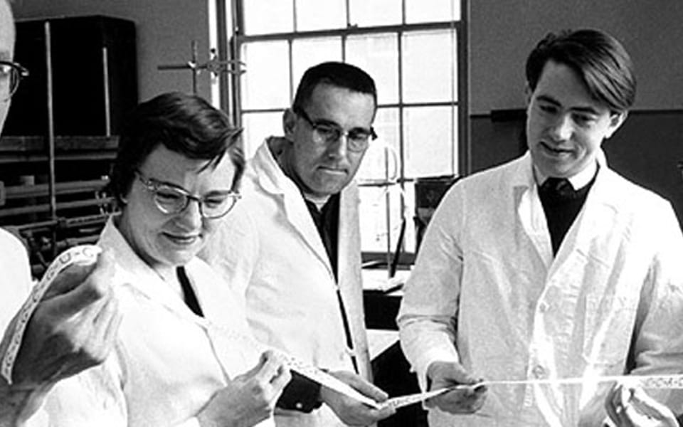 Prawdopodobnie nie jesteś ekspertem od marketingu. Ani Sokołowa.