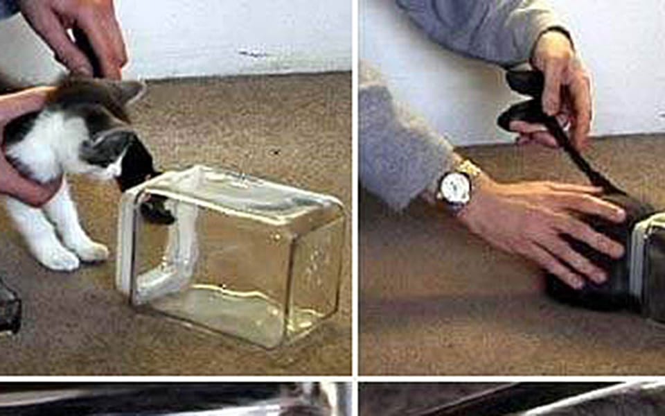 3 kroki - jak nie zrobić z siebie głupka w sieci