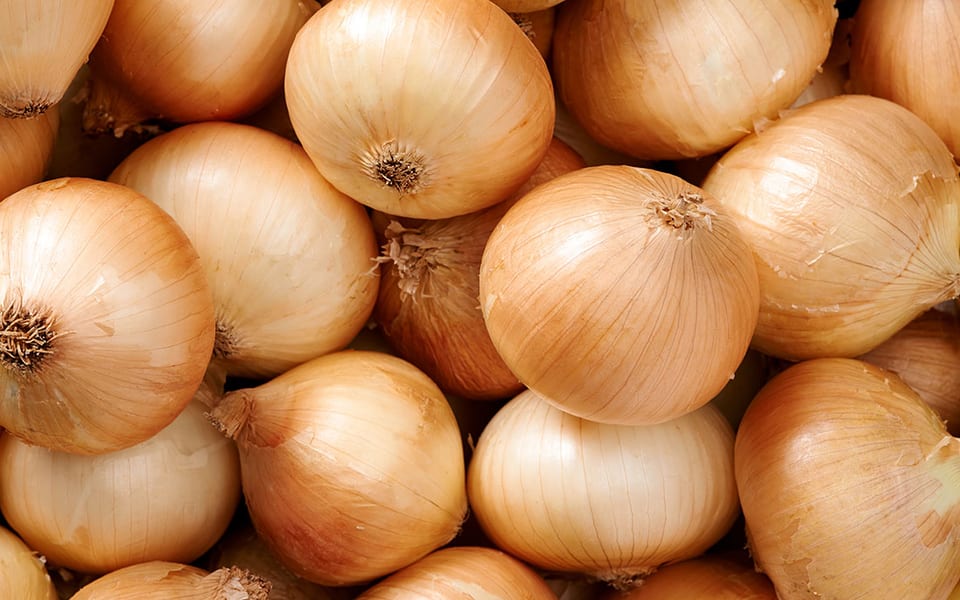 Nie bądź cebulakiem!