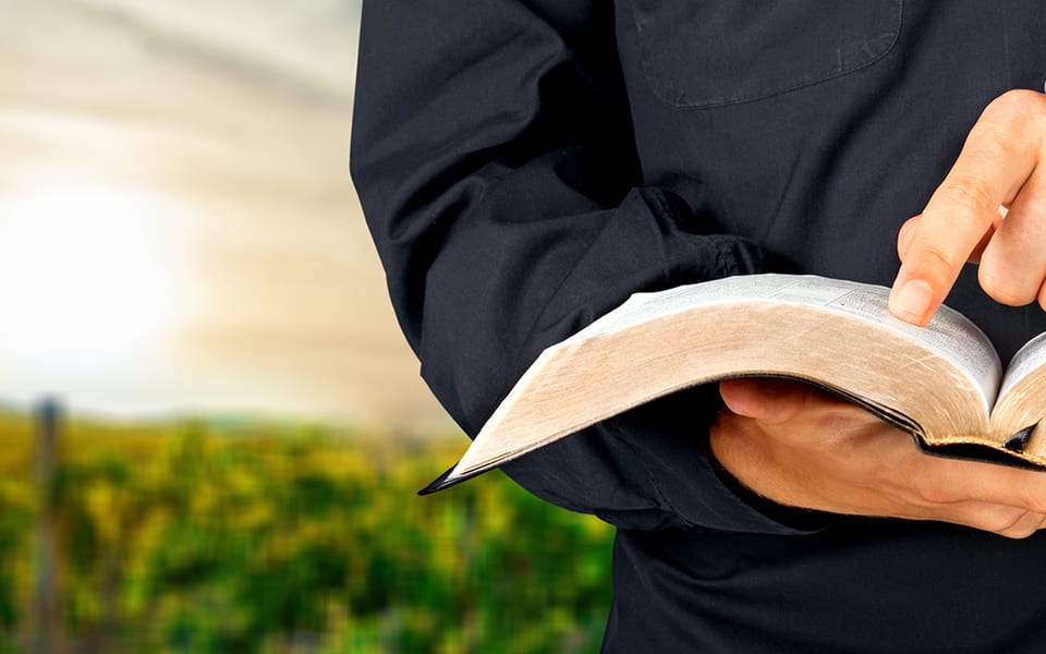 Hej, wegetarianinie! Nie mów mi, jak mam żyć.