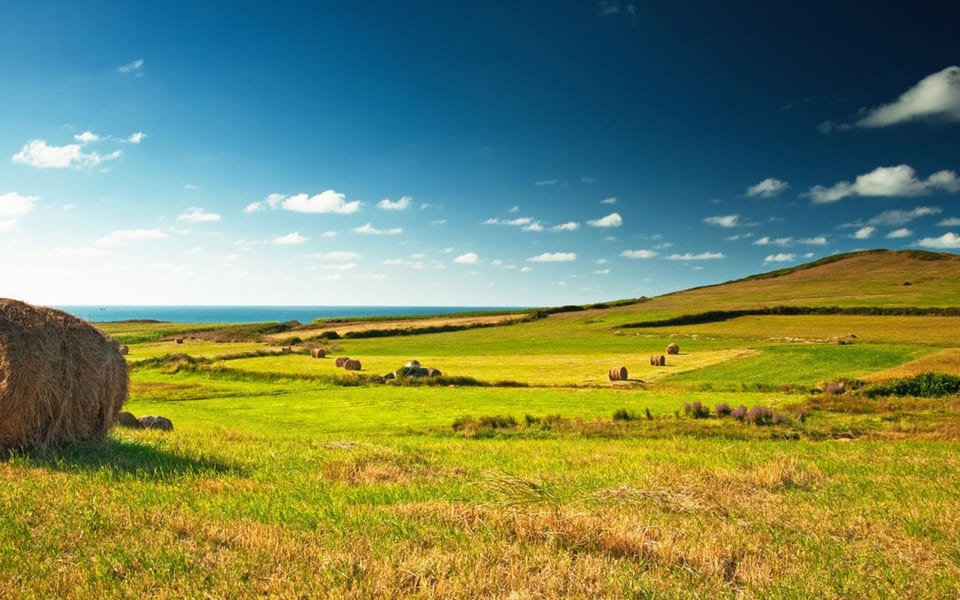 Kocham Polskę. Bardzo.