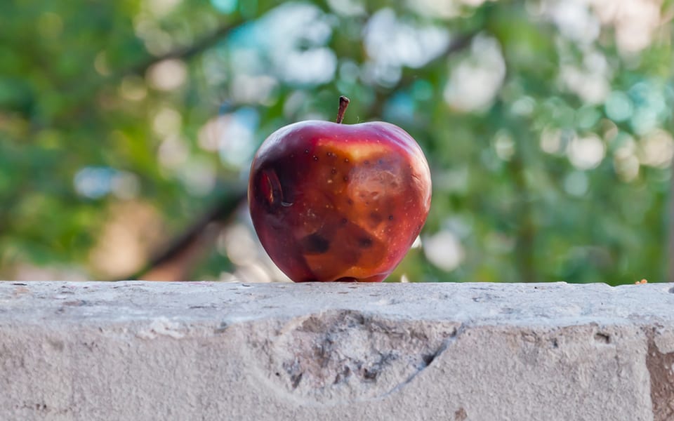 Hej Apple! Nasz związek traci sens.