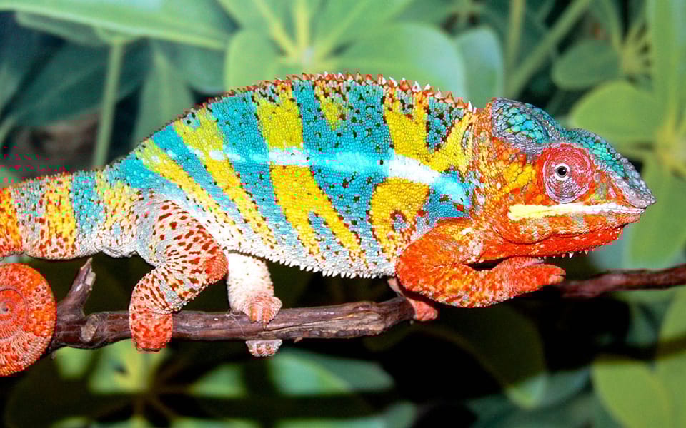 O kolejnej zmianie domeny, nazwach blogów i kanałów