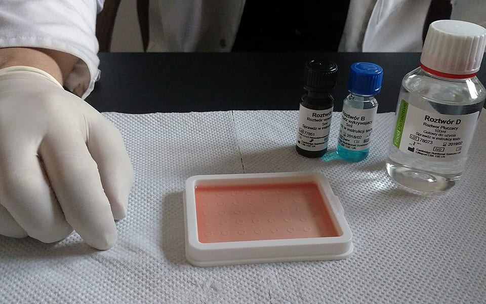 - No bez jaj! Czyli zrobiłem test na nietolerancje pokarmowe.