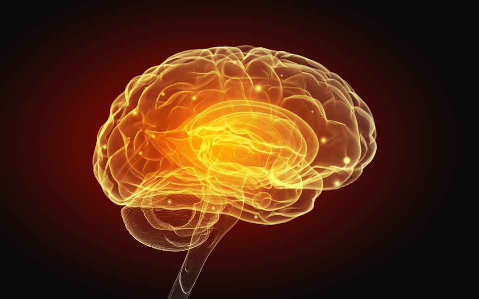 O krowach i czarnej strefie w mózgu