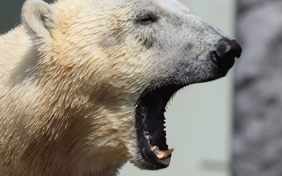 Zmiany, zmiany, zmiany